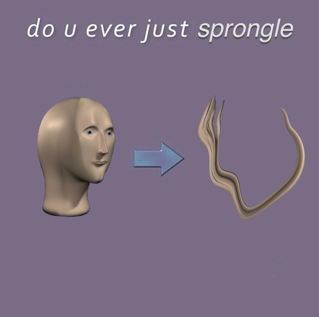 Do u ever just sprongle Surreal Memes Wiki Fandom Do u ever just sprongle Surreal Memes Wiki Fandom