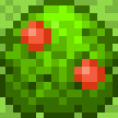 Hedge 1