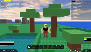 RobloxScreenShot06222011 132643623