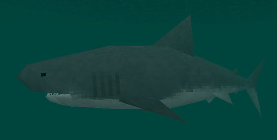 Great White Shark | SurvivalCraft Wiki | Fandom