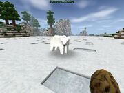 A polar bear.