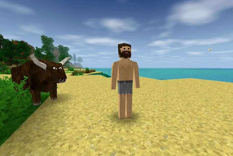 Skins  SurvivalCraft Wiki  FANDOM powered by Wikia