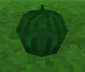 Unripe Pumpkin 2 icon