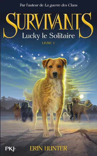 Lucky Le Solitaire Wiki Survivants Fandom