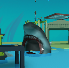 Shark Attacking