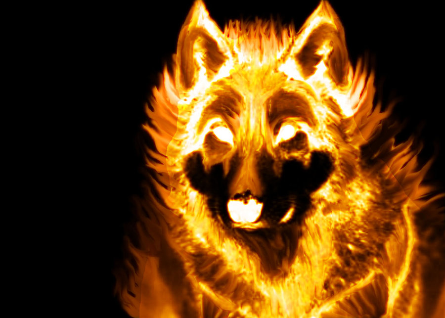 FlameDog Survivor Dogs Wiki FANDOM powered by Wikia