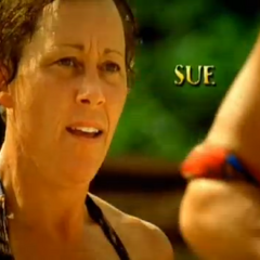 hawk susan survivor wikia intro