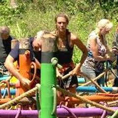 Family Visit Survivor Wiki Fandom