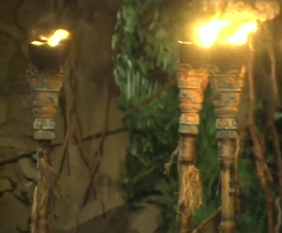 Torch Survivor Wiki Fandom