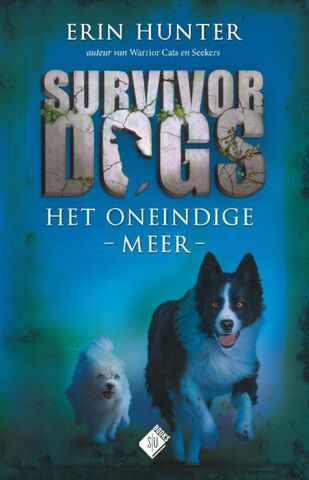 Bestand:Het oneindige meer.jpg