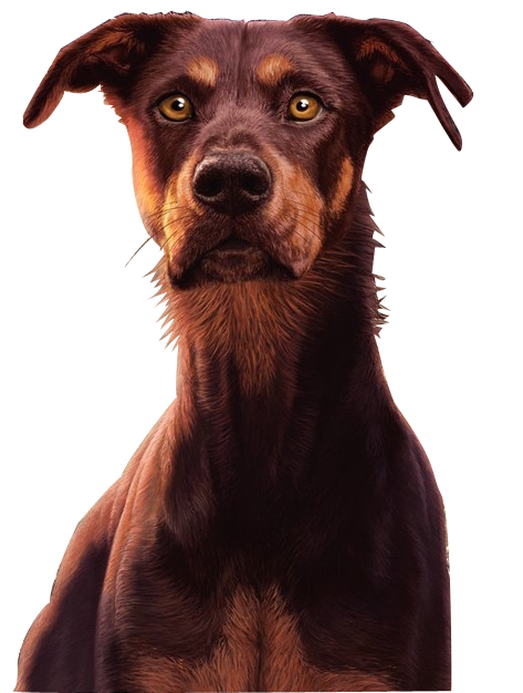 rising storm by erin hunter rising storm by erin hunter