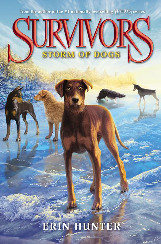 Storm of Dogs (book) Survivors by Erin Hunter Wiki