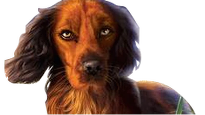 Twitch Survivors By Erin Hunter Wiki Fandom