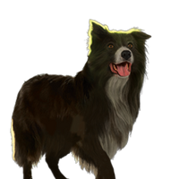Mickey Survivors By Erin Hunter Wiki Fandom