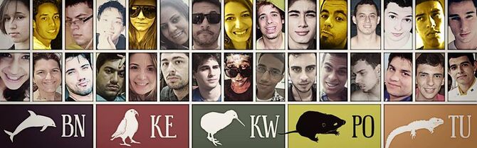 Capa nz inicio