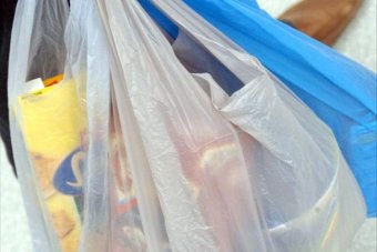 Plastic Bags