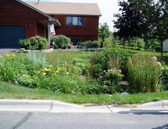 Rain Garden Design And Construction Sustainable Water Management