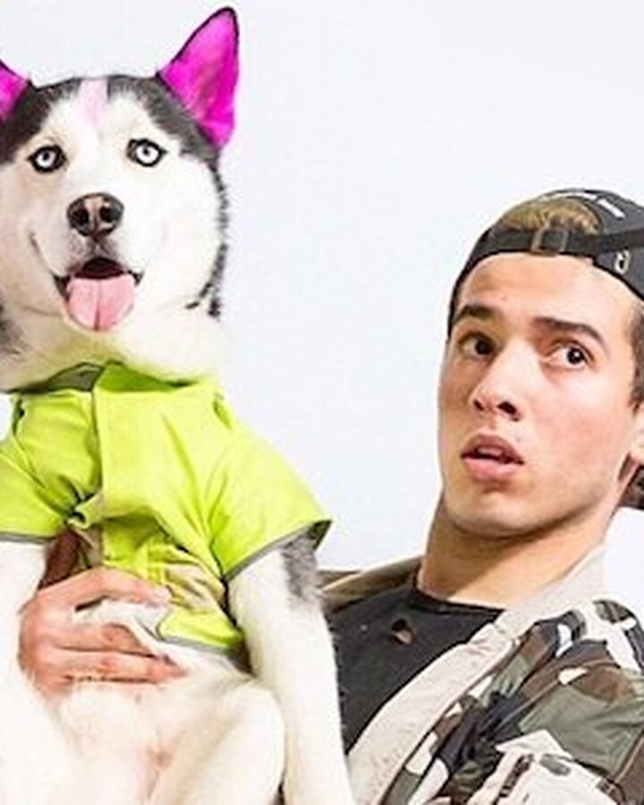 Swagrman Swaggy Wolfdog Wiki Fandom