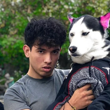 Swagrman Swaggy Wolfdog Wiki Fandom