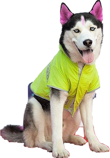 schleich horses amazon uk