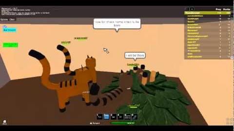 Video 3 Chuck Norris Cats On Roblox And Giving Birth To - 