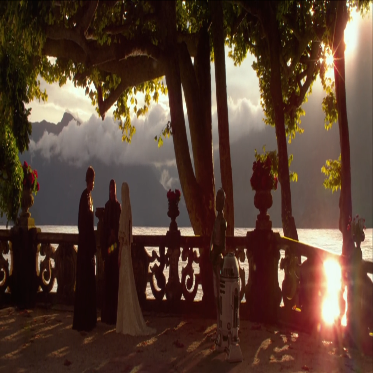Wedding of Anakin Skywalker and Padmé Naberrie Star Wars