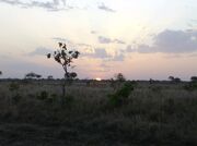 RelaeanPlains