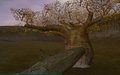 Bilba tree