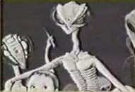 Insectoid worker class