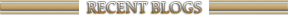 Fanpedia Blogs header
