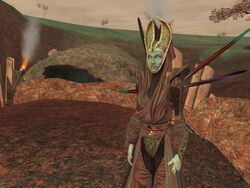 A Nightsister Protector