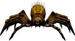 Crazed webweaver