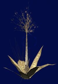 Tall Weeds