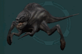 Jundak