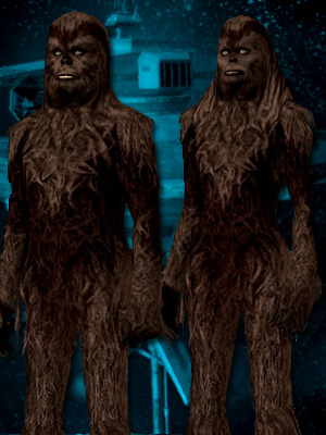 Wookieenew