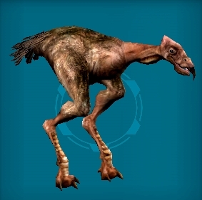 A Carrion Spat