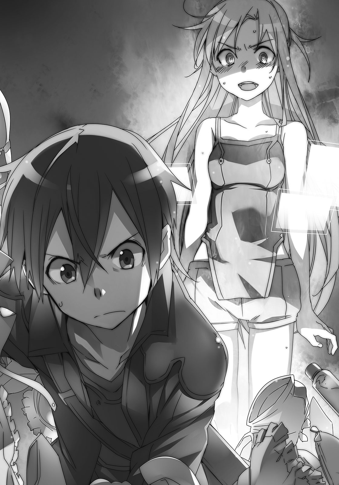 Sword Art Online Progressive Light Novel Online Image - Progressive Vol 1 - 287.png | Wiki Sword Art Online | FANDOM