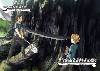 Kirigaya Kazuto Relationships Sword Art Online Wiki Fandom