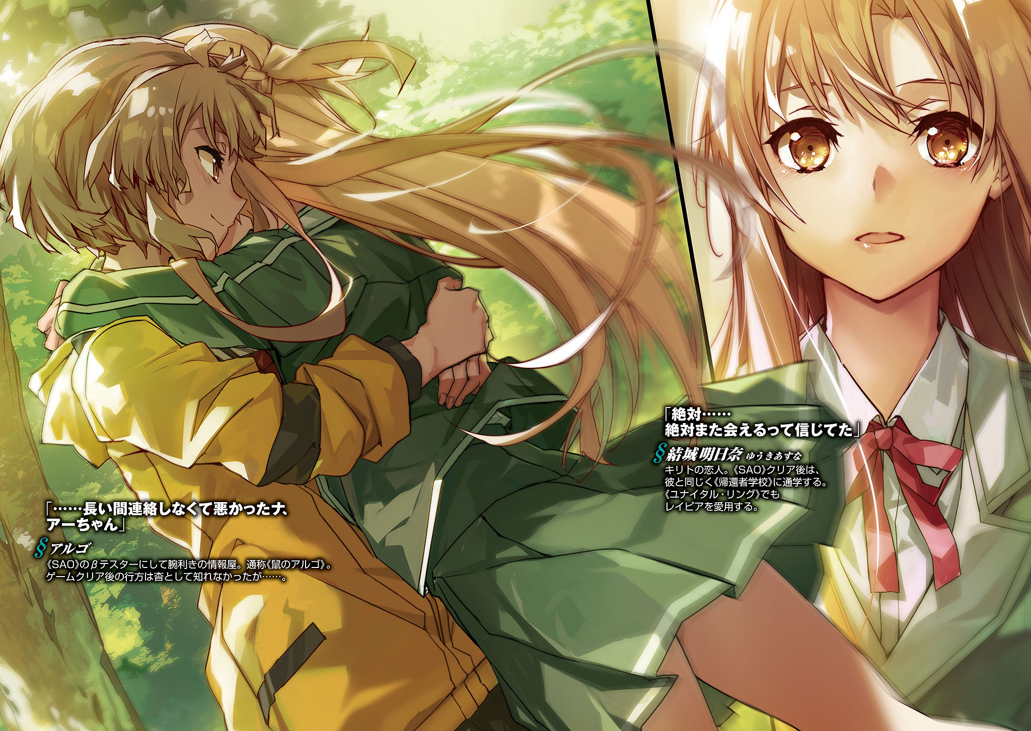 Dreadful Decoding: Sword Art Online Volume 23 summary