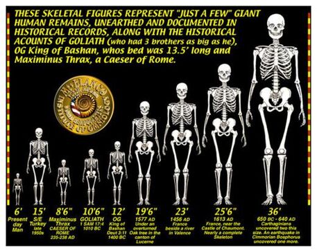 GIANT SKELETONS