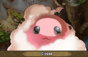Clouse Profile
