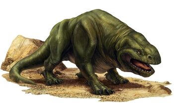 Dewback
