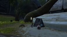 Morgukai Tent