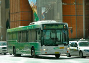 Free CBD Shuttle