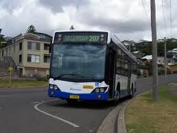 Route 207 Sydney Buses Wiki Fandom
