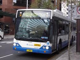 Route 207 Sydney Buses Wiki Fandom