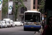Route 203