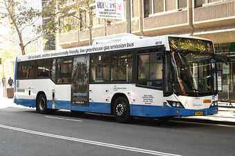 Route 436 Sydney Buses Wiki Fandom