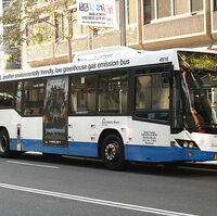 Route 436 Sydney Buses Wiki Fandom