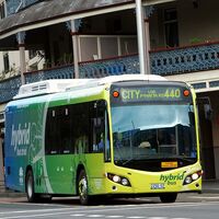 Route 440 Sydney Buses Wiki Fandom